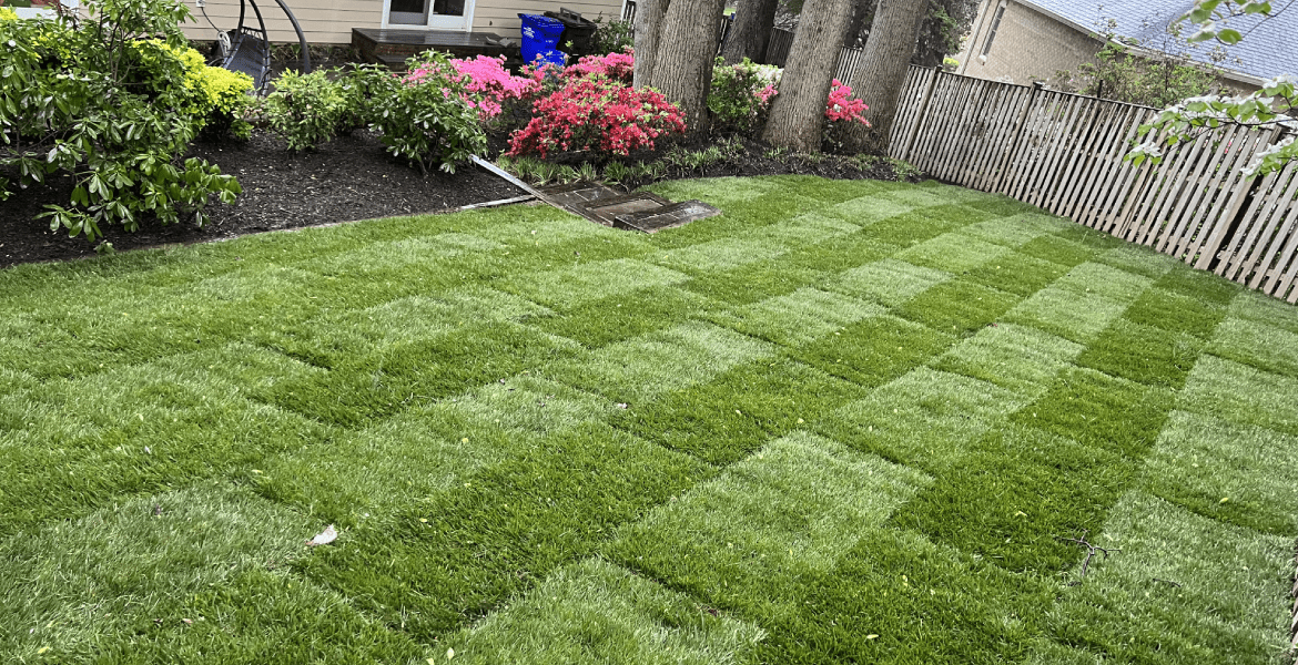 Martinez Landscape Services